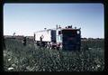 Workers loading watermelons into truck, Umatilla County, Oregon, circa 1971