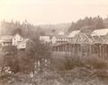 Elk City on the Yaquina River