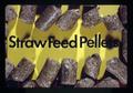 Straw Feed Pellets presentation slide, Oregon State University, Corvallis, Oregon, circa 1973