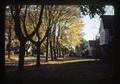 Autumn leaves on NW 32nd by Schultz home, Corvallis, Oregon, November 1975