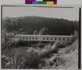 Covered bridge over Umpqua River sout of Dillard, Douglas County (recto)