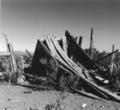 Shed, Shirk Ranch (Adel, Oregon)