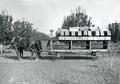 Three deck orchard wagon, Hillcrest Orchard near Medford, Oregon