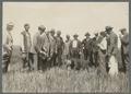 Group of men in field examining grain