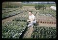 Dr. Robert L. Ticknor with ornamentals project at North Willamette Experiment Station, 1963