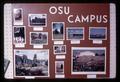 Closeup of OSU campus photos in Oregon Agricultural Experiment Station exhibit at Curry County Fair, Gold Beach, Oregon, August 1969
