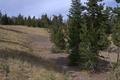 Army Corps of Engineers Road System (Crater Lake, Oregon)