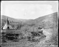 Buckaroo Creek - Umatilla Reservation Maj. Moorhouse 