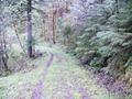 Santiam Wagon Road (Sisters, Oregon)