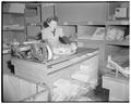 Elizabeth Pukas at Lipman Wolfe's wrapping packages in basement delivery department, August 10, 1950