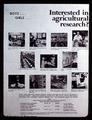 Interested in Agricultural Research? poster, Oregon State University, circa 1969