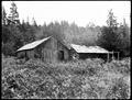 The Treasure Hunter's Cabin, Nehalem.