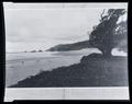 SP&S RY promotional material. Looking north from fork of Elk Creek, Cannon Beach, OR.