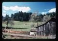 Old barn and sheep pasture west of Philomath, Oregon, 1978