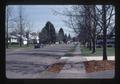 Gum trees along street, Oregon, 1976