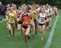 Bronwyn Crossman, Sarah Penney & Melanie Thompson, 2011