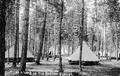 No. 589 A Camp in the Oregon Forest