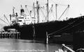 Loading Lumber at Coos Bay, Oregon