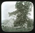 Patterdale Church and Old Yew Tree
