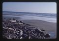 Logs and beach north of Driftwood Shores Motel, Florence, Oregon, 1974