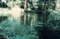 Pond, Old McKenzie Trout Hatchery (Leaburg, Oregon)