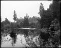 Reed College, Portland. Pond on Crystal Springs Creek and trees in foreground. Brick building, on hill in background.