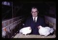 Paul Bernier with dwarf chicken and typical chicken, Oregon State University, Corvallis, Oregon, November 1968