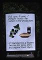 Blackberries and Boysenberries in Oregon presentation slide, 1976