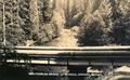 Breitenbush bridge at mineral springs