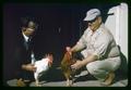 Dr. Paul Bernier and two roosters from cross of a red and a white rooster, 1964