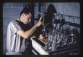 Barnacles as crab food experiment at Marine Science Laboratory, circa 1965