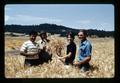 Warren Kronstad's staff posing in a wheat field, North Willamette Experiment Station, Oregon State University, Aurora, Oregon, July 1972
