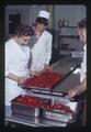 Bob Foote and others at strawberry sorting table, Oregon State University, Corvallis, Oregon, 1973
