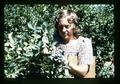 Jennifer Shay picking blueberries, Oregon, circa 1973