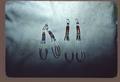Porcupine quill earrings, artist Betty First Raised