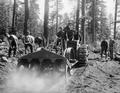 CCC boys operating tractor and rooter
