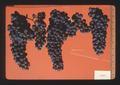 Zinfandel wine grapes, Oregon, 1974