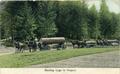 Hauling logs in Oregon