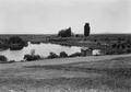 Pond with ranch house in Harney County, Oregon