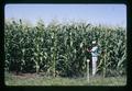 Corn, Oregon, circa 1971