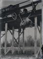 Horse, pulling wagon, hanging from bridge