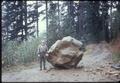 Man standing next to giant boulder on road