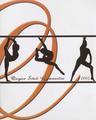 2002 Oregon State University Women's Gymnastics Media Guide