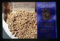 Prize-winning wheat grown by Dennis Webb, Yamhill County Fair, McMinnville, Oregon, circa 1972