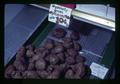 Organic potatoes at store, Oregon, circa 1971
