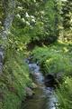 Glacier Irrigation Ditch, Middle Fork Irrigation District (Parkdale, Oregon)