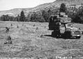 Alfalfa field maintained by the 4-H boys after cutting