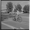 Bicycles on campus, Fall 1963