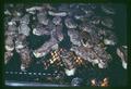 Barbequed steaks at Portland Chamber of Commerce picnic, Portland, Oregon, 1968