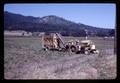 Bush bean harvester near Brownsville, Oregon, circa 1969